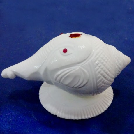 Ganesha Shanku (Shell)